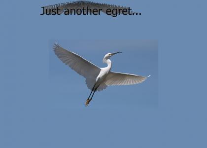 Just Another Egret