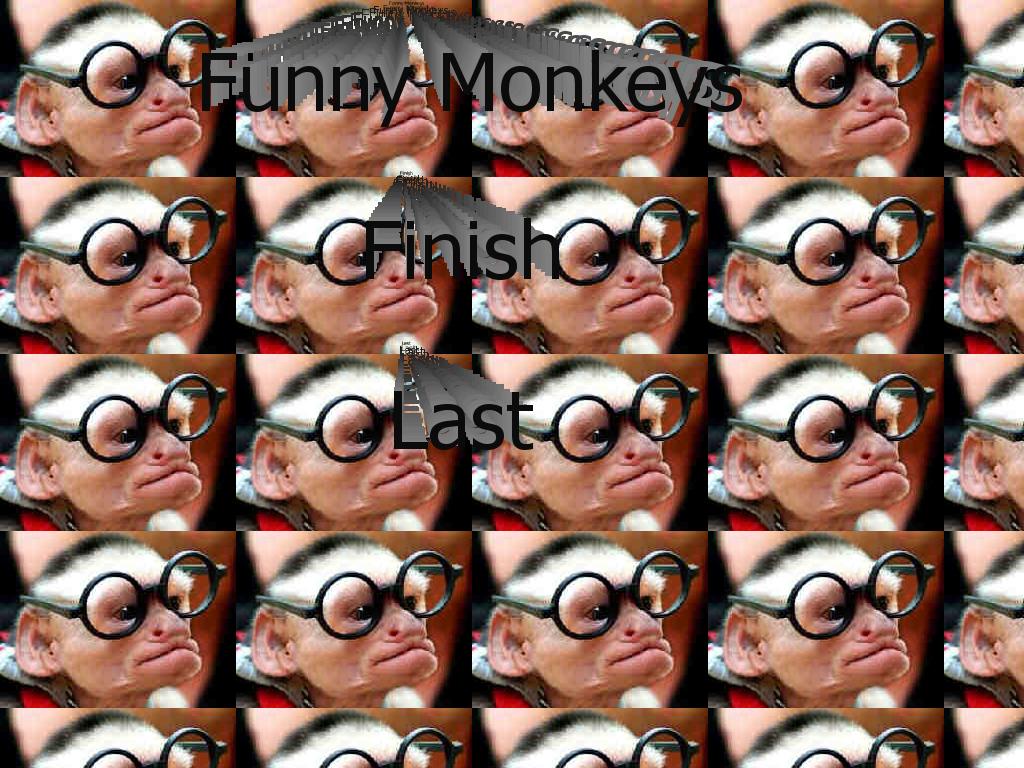 funnymonkey