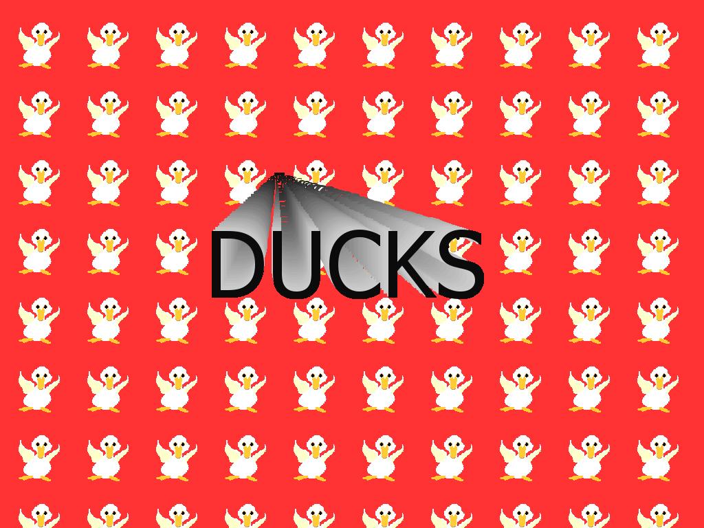 duck42