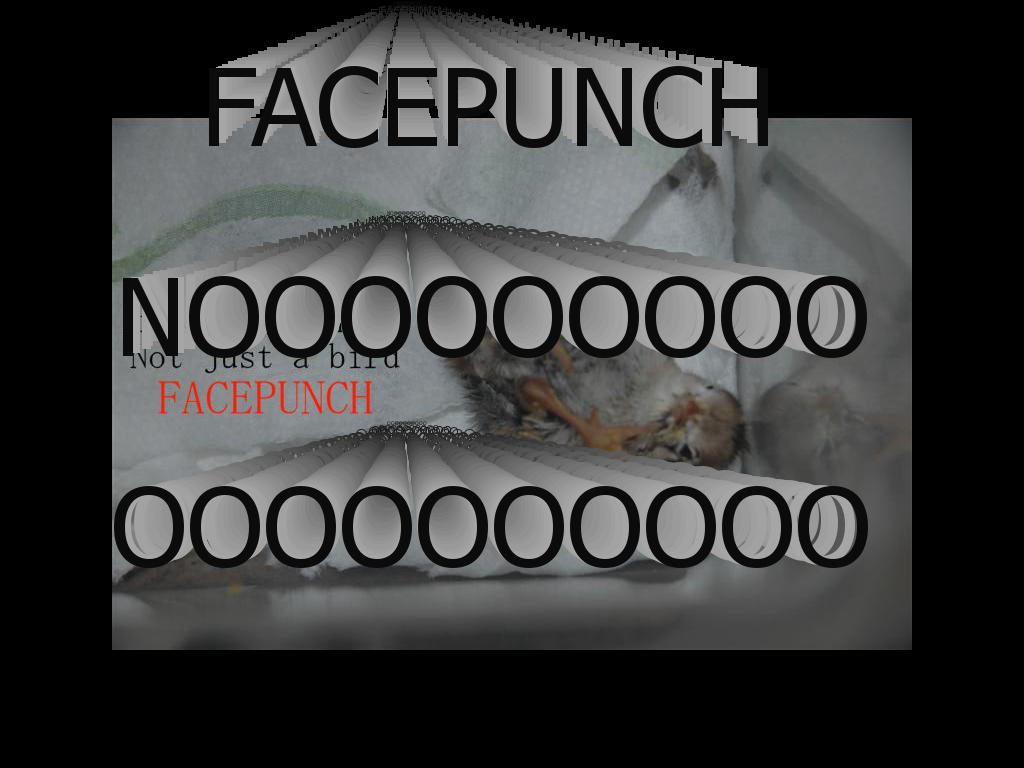 facepunchno