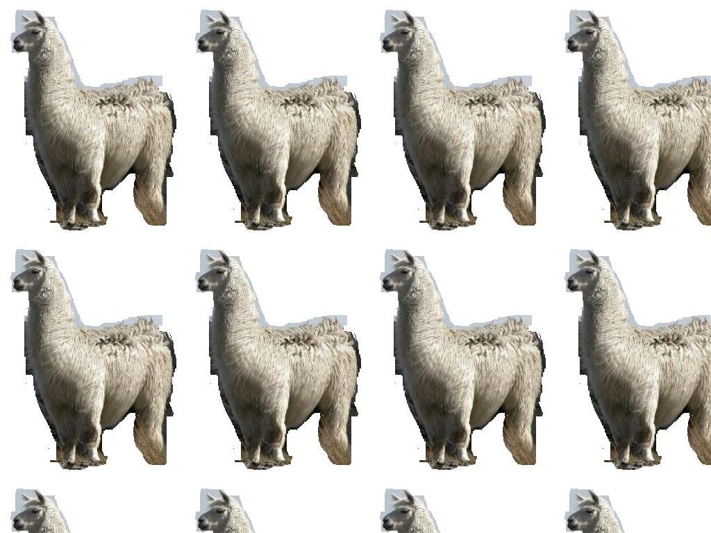 llamallama