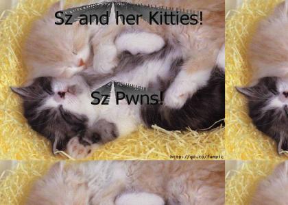 Sz and Her Kitties