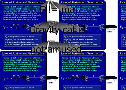 Equations of the Gravity Cat