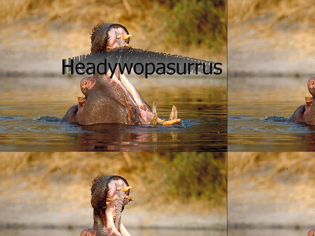 headywopasurrus