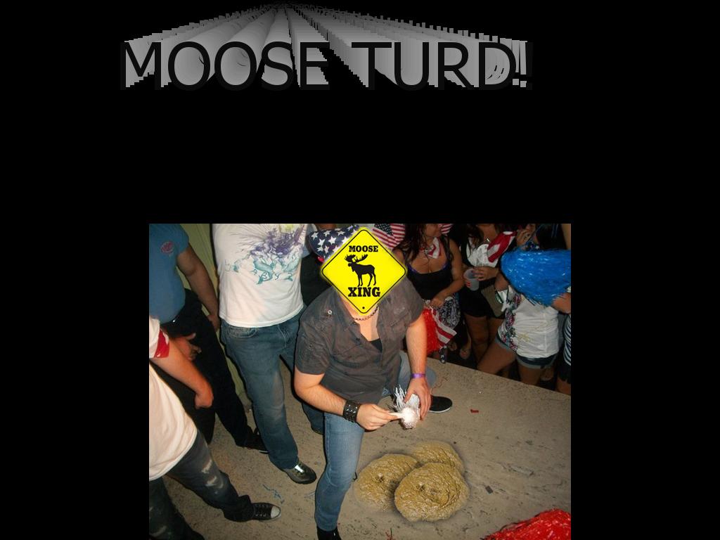 MOOSELEPOOP