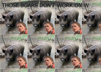 Those boars need power!