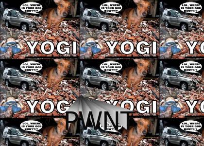 Yogi pwns n00bs!!1