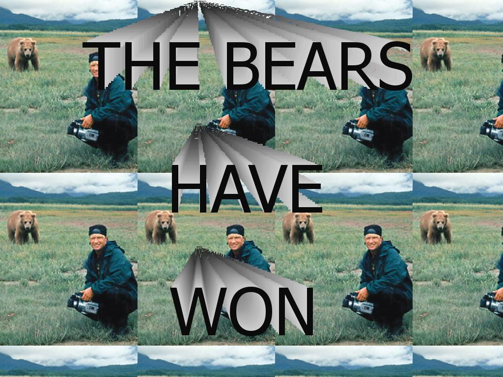 bearswin