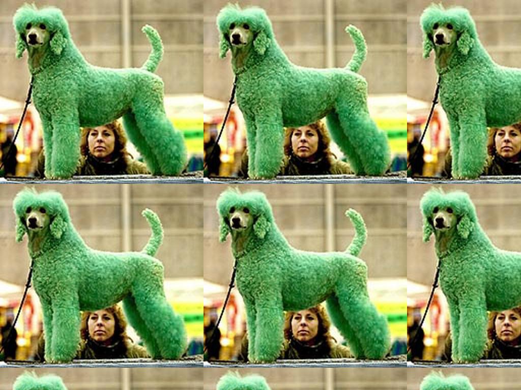 greendog