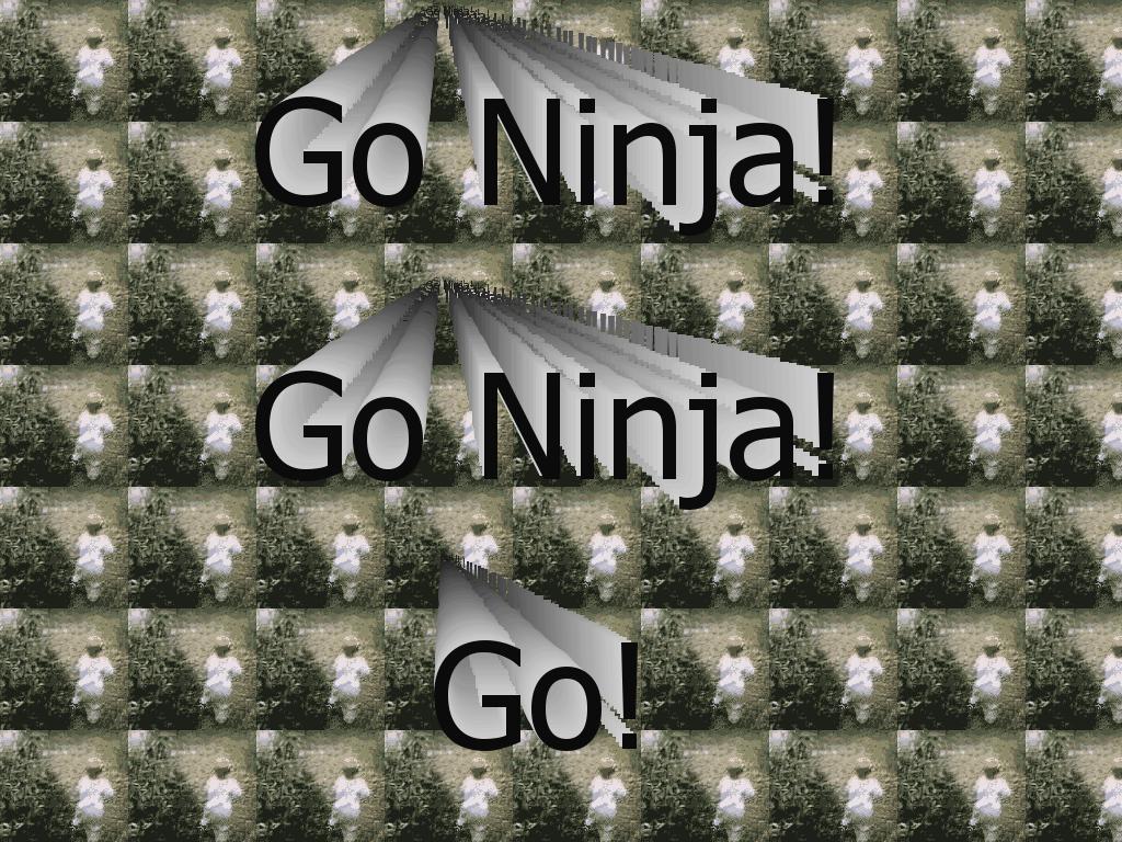 ninjakittee