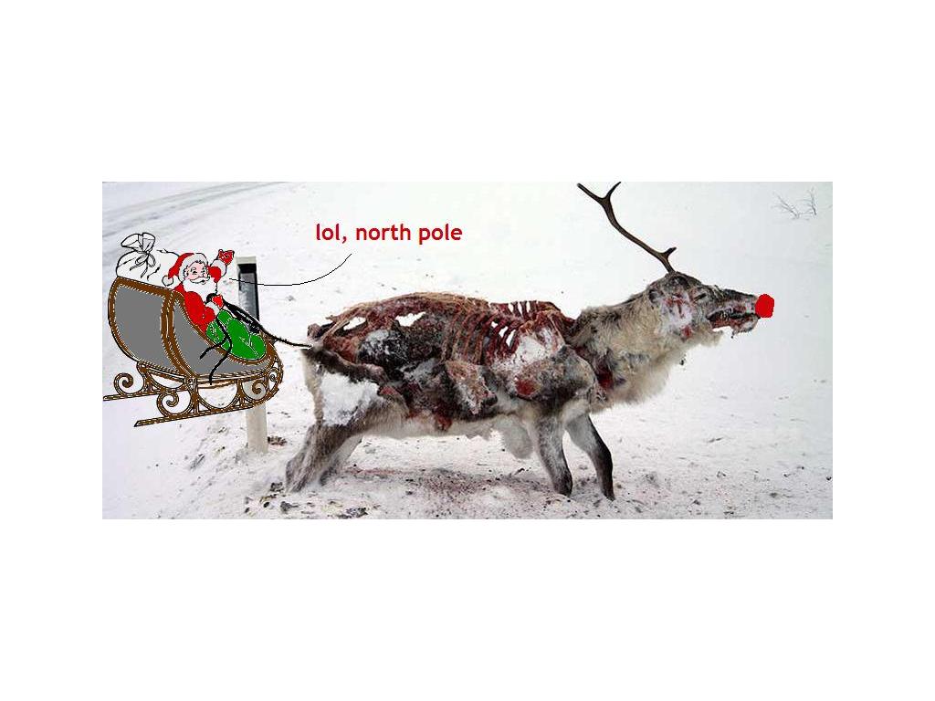 lolnorthpole