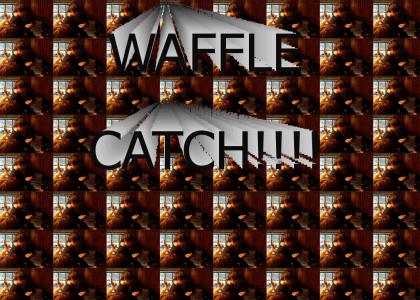 WAFFLE CATCH!