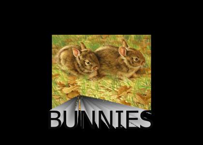 Let the ... bunnies?...