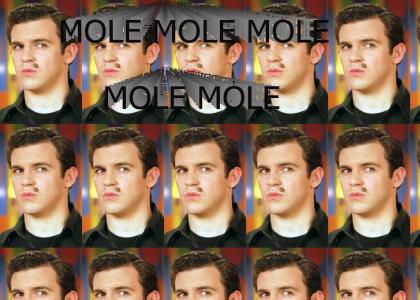 Mole Mole Mole Mole Mole!