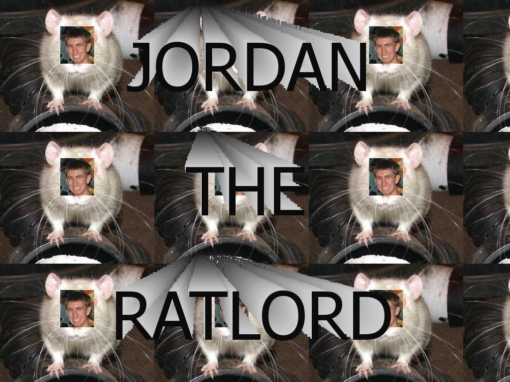 ratlord