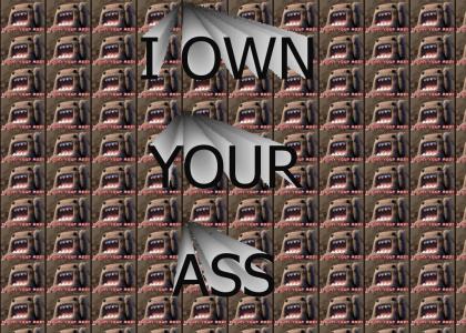 I own your ass