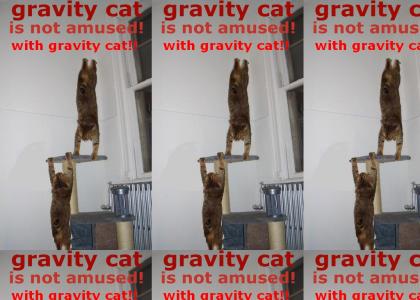 Gravity cat not amused (update 7403)