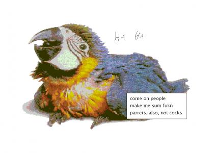 COME ON ARTISTS: It's Parrot Time!