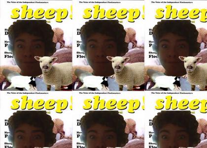 Nate sequel sheep