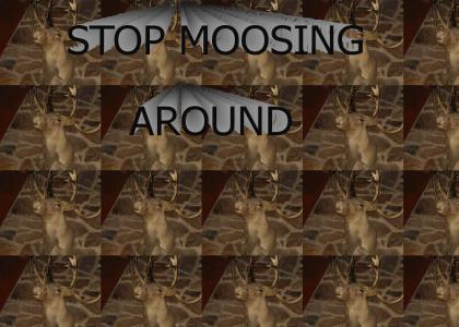 Moosey McMoose Moose