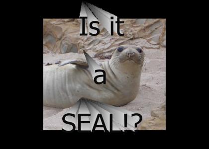 is it a seal?