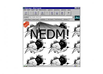 NEDM in 1996