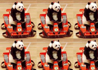 OMFG Panda Racer