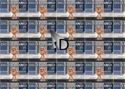 Digital Wang