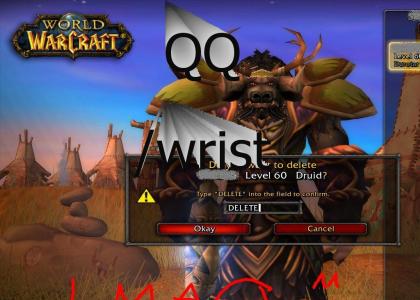 Quitting WoW