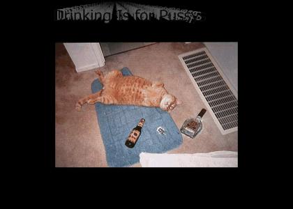 CatIsReallyDrunk