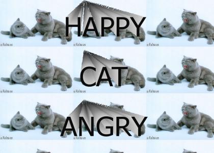 HAPPY CAT ANGRY