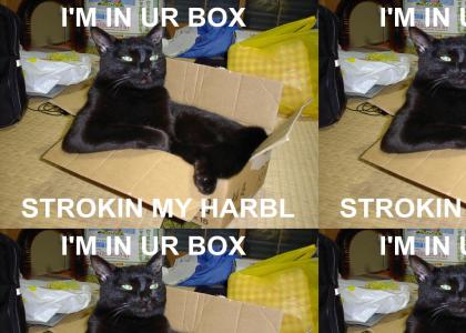 I'M IN UR BOX ... STROKIN MY HARBL