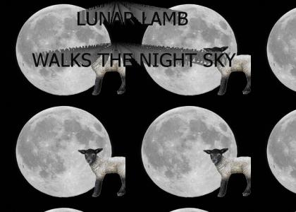 LUNAR LAMB