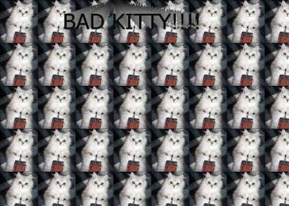 Bad Kitty