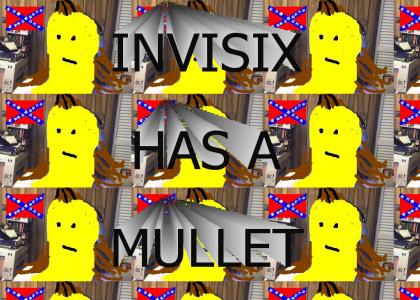invisix has a mullet
