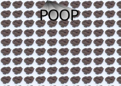 WOW THATS POOP