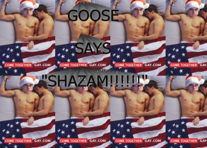 Goose Shazam!
