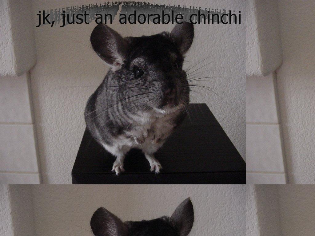 adorablechinchilla