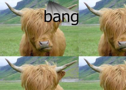 lol @ emo cow