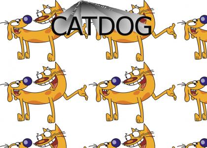 CATDOOOOOOOOOOOOOG