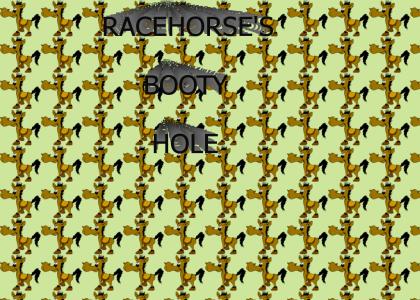 RACEHORSE'S BOOTY HOLE