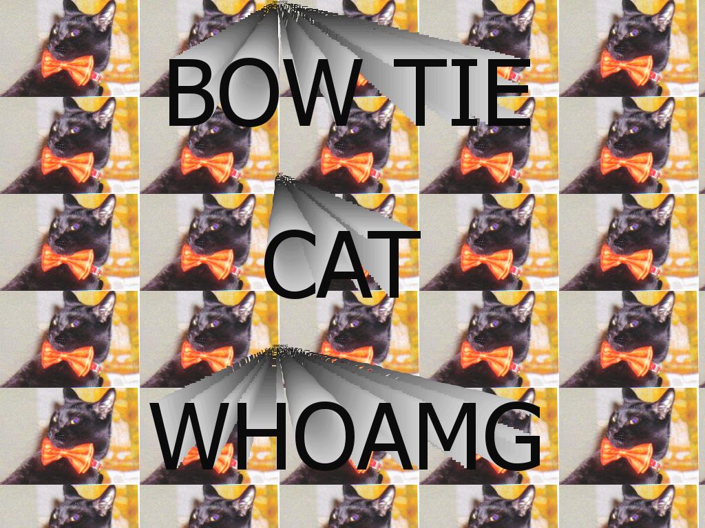 bowtiecat