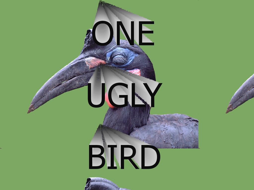 reallyuglybird