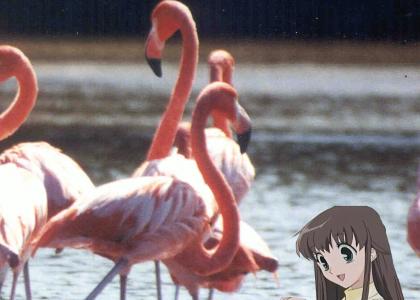 anime girl is having a wonderful time with flamingos