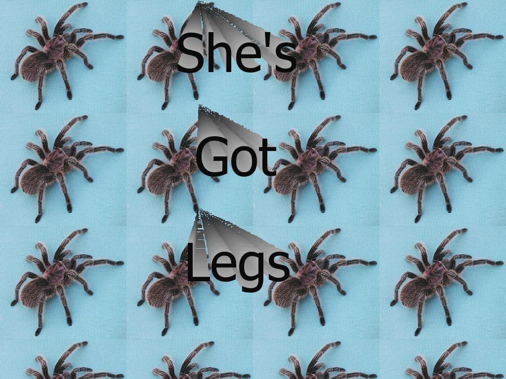 shegot8legs