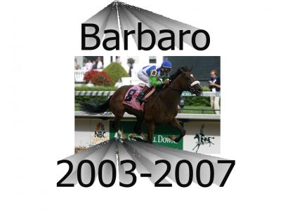 RIP Barbaro :(