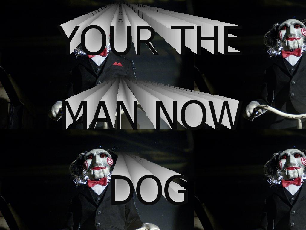 therewillbedogs