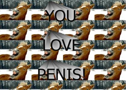 YOU LOVE PENIS!