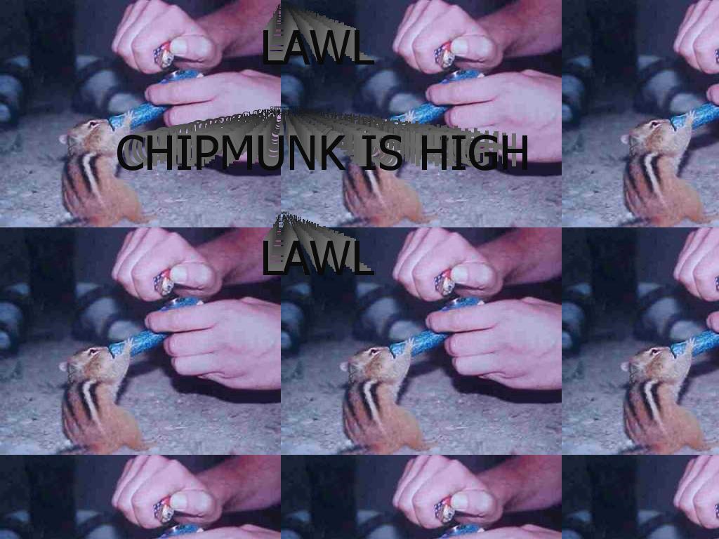 lawlchipmunkishighlawl