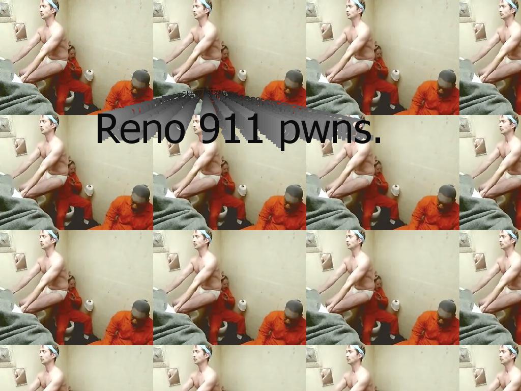 reno343